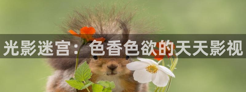 光影迷宫：色香色欲的天天影视