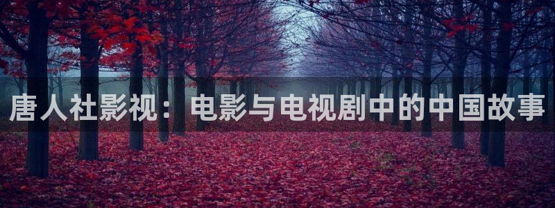 唐人社影视：电影与电视剧中的中国故事