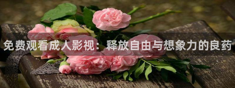 免费观看成人影视：释放自由与想象力的良药