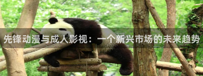 先锋动漫与成人影视：一个新兴市场的未来趋势