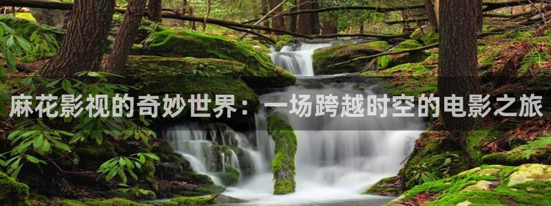 麻花影视的奇妙世界：一场跨越时空的电影之旅