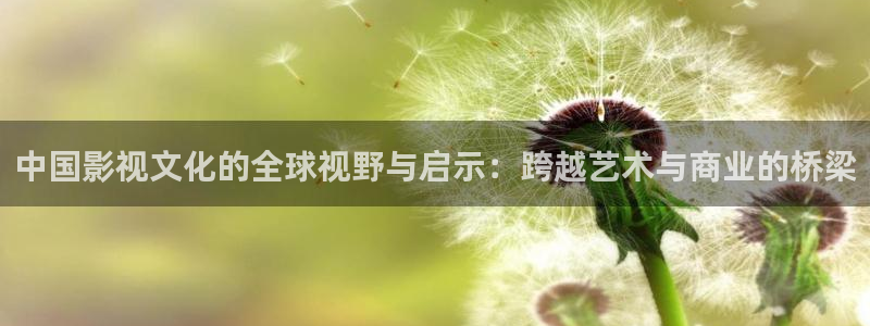 中国影视文化的全球视野与启示：跨越艺术与商业的桥梁
